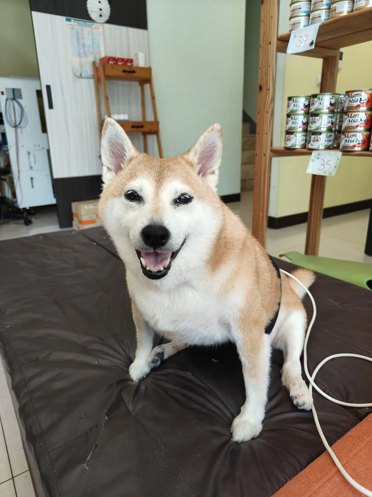 萌萌家動物醫院