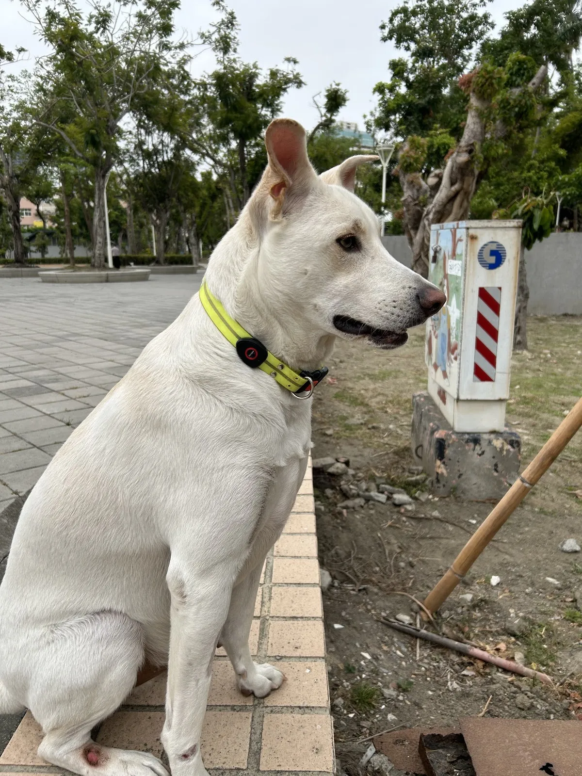 弘祥動物醫院
