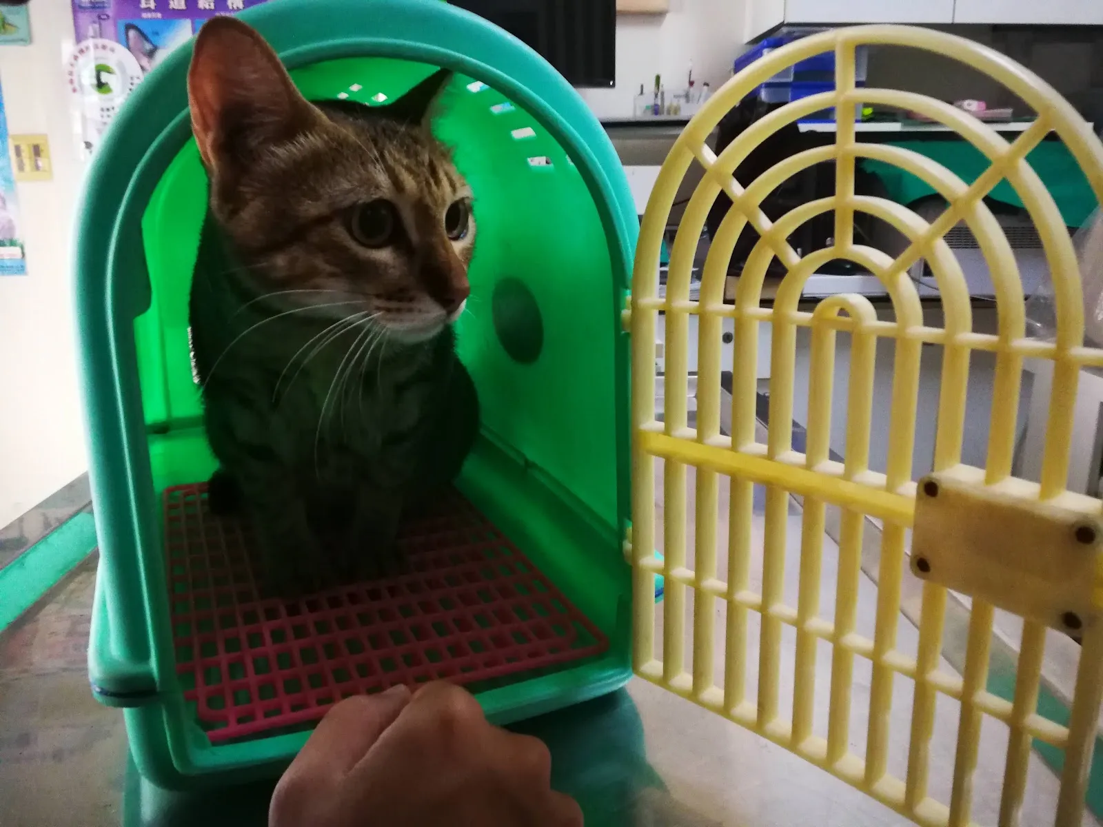 仁集動物醫院