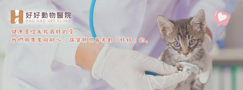 好好動物醫院