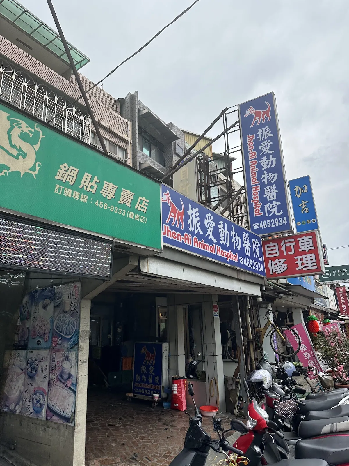 振愛動物醫院