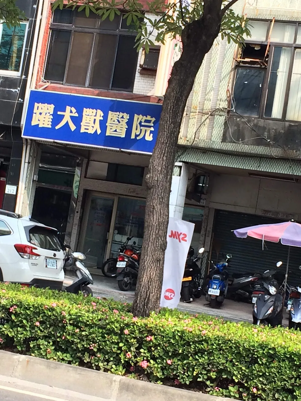 躍犬動物醫院