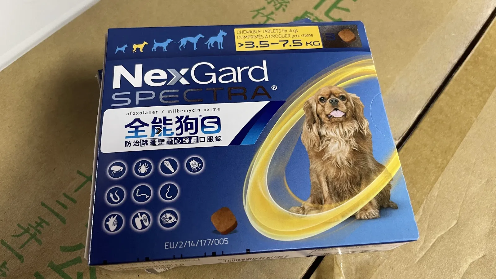 新興動物醫院