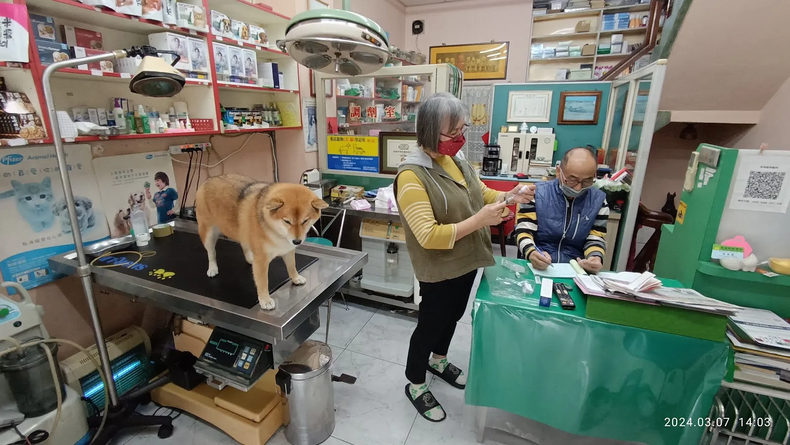 東海動物醫院