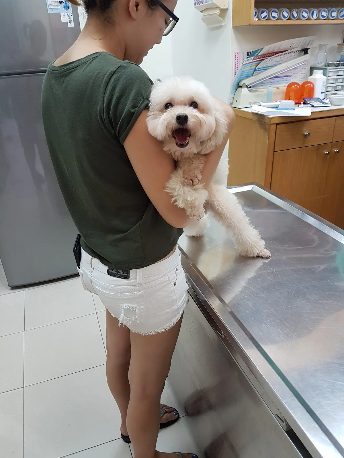 福林動物醫院