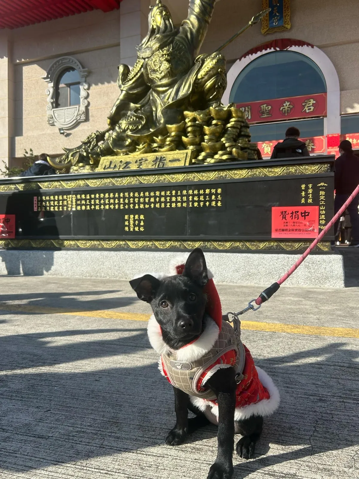 家麒獸醫院