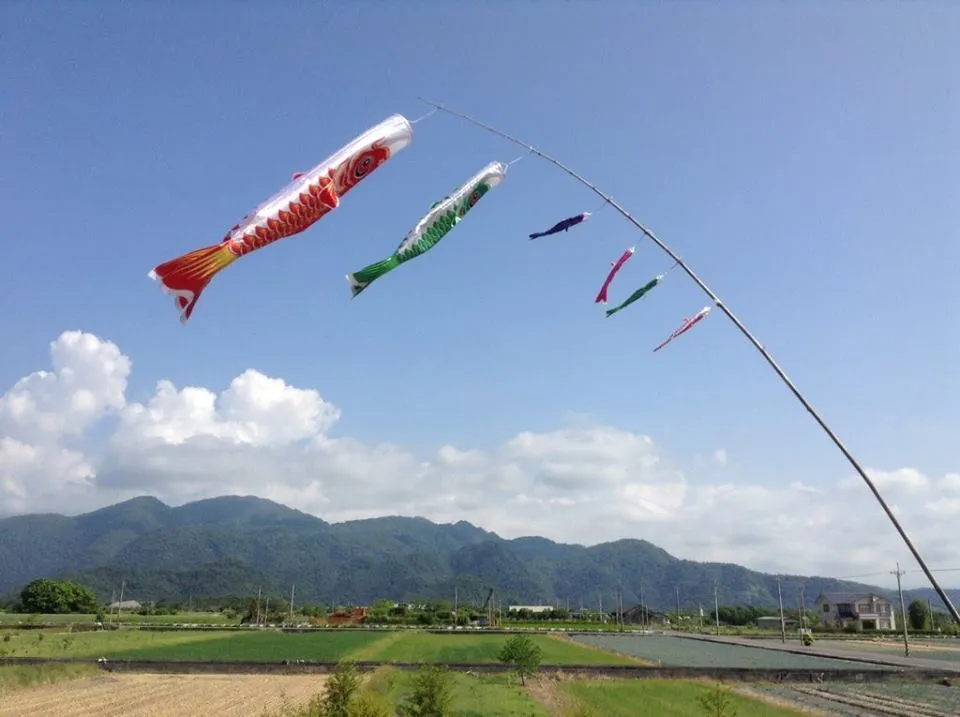 曾安動物醫院