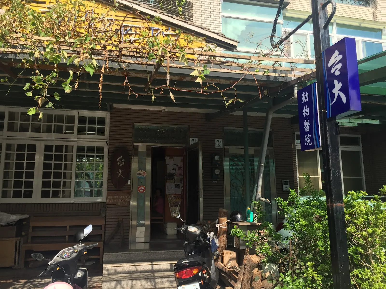 普通犬貓內科動物醫院