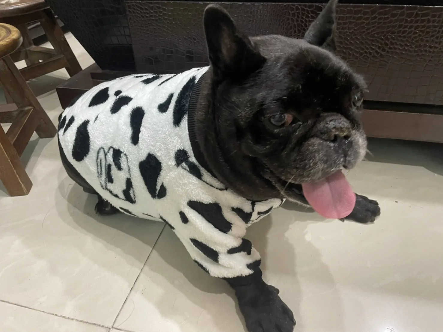 佳昇動物醫院