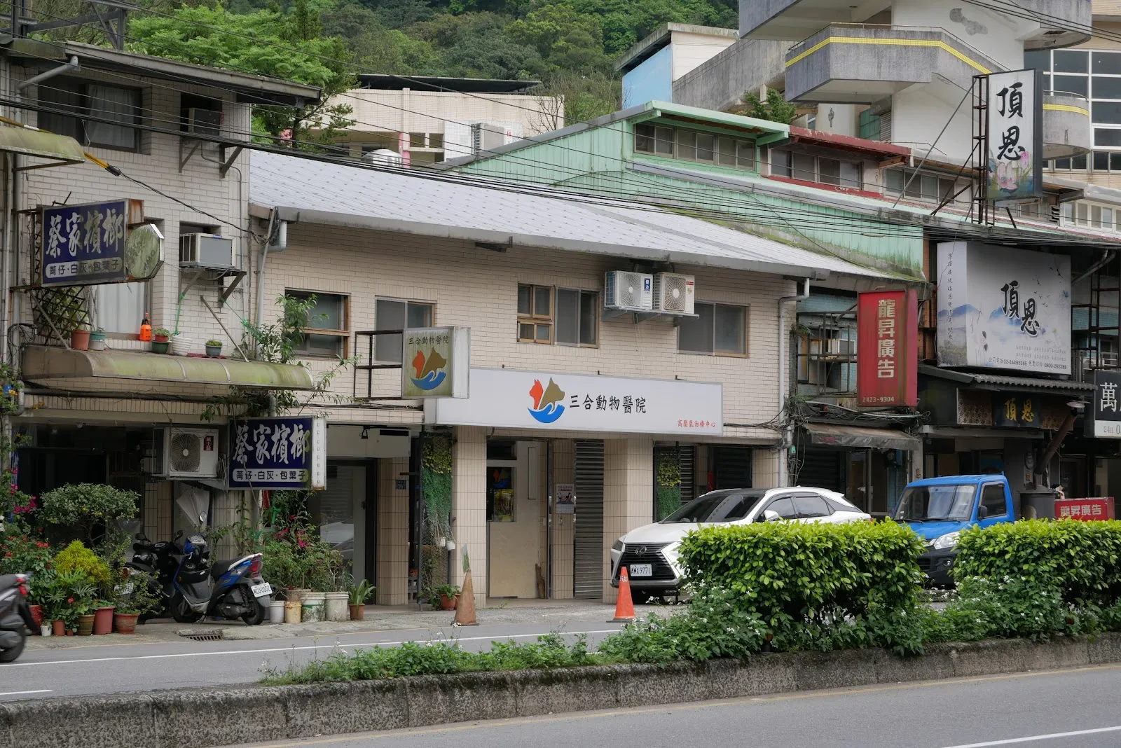 三合動物醫院